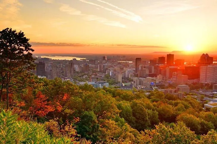Casa vacanze Heart Of Mtr For Memerable Experiance 2 Backyard 7Minmetro Fully Renovated & Equipped Montréal